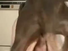 Anal sex lust twink receives bare during web camera show and welcomes anal with a dog in this vid